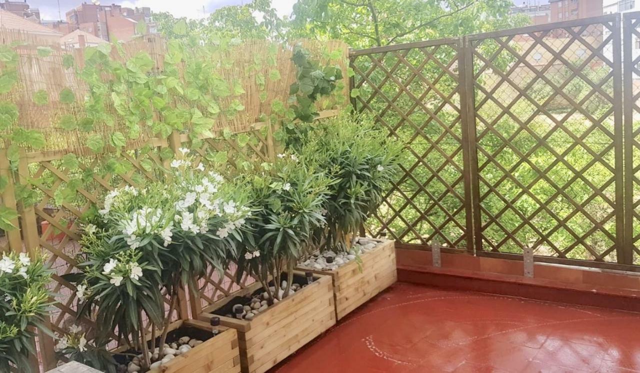 וייאדוליד Apartamento San Quirce - Centrico Y Reformado- Wifi Y Netflix מראה חיצוני תמונה
